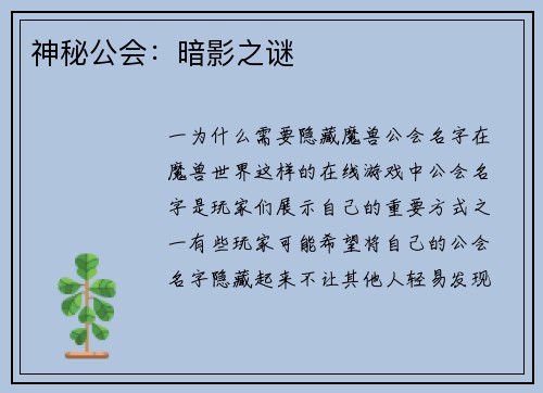 神秘公会：暗影之谜