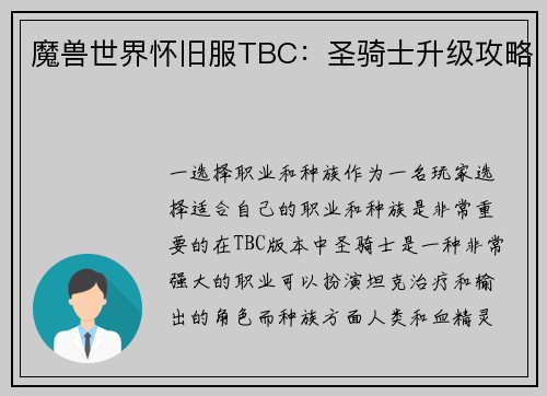 魔兽世界怀旧服TBC：圣骑士升级攻略